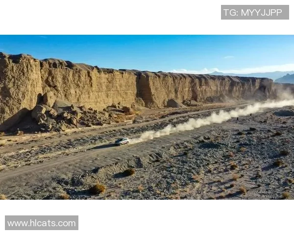 李伟独家分享攀岩心得与技巧助你征服高峰挑战自我极限